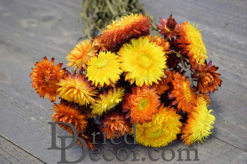 Dried Strawflowers Bouquet - Sunset